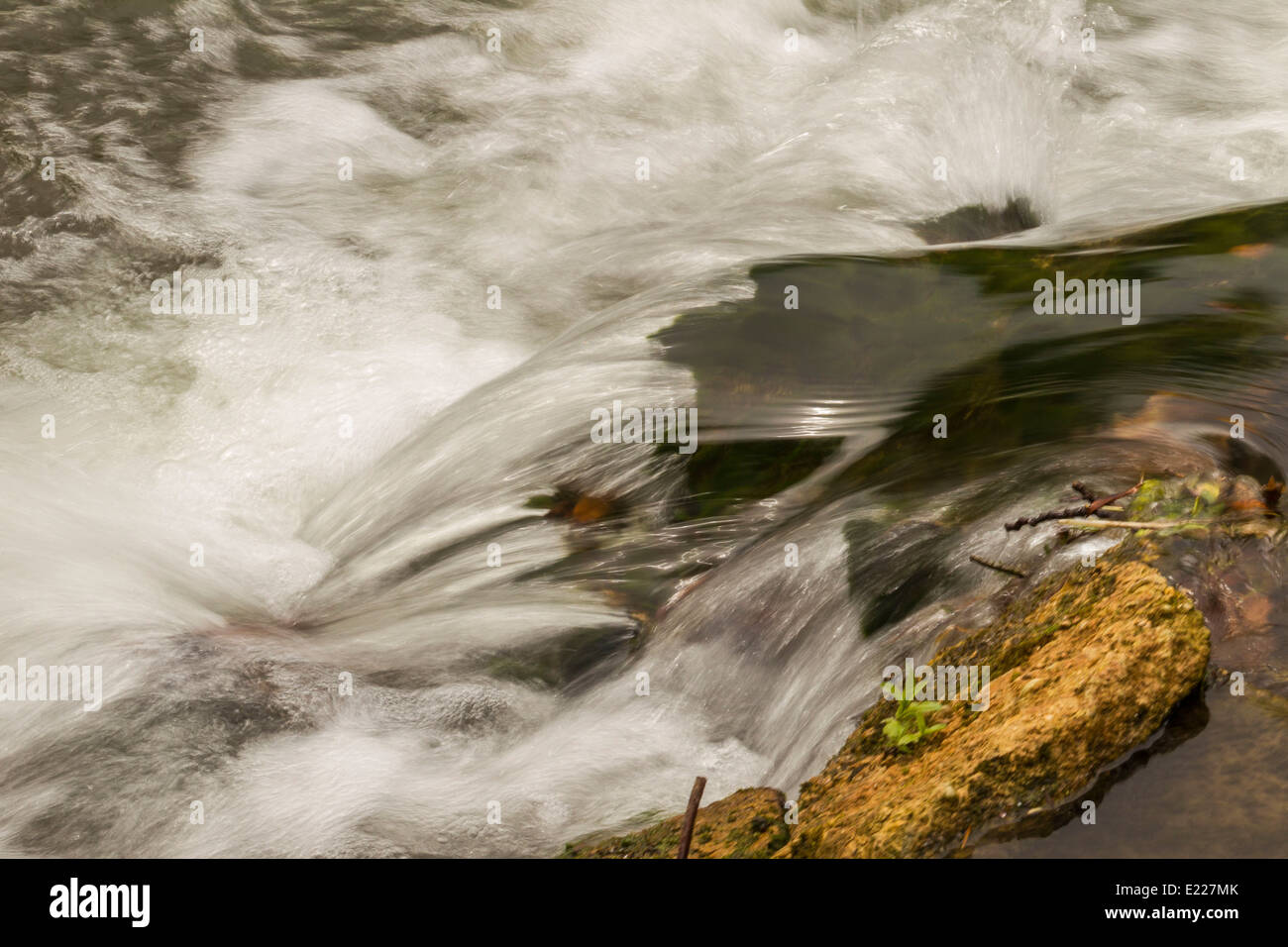 Summer greenery is washed over last Autumn's debris as the Windrush