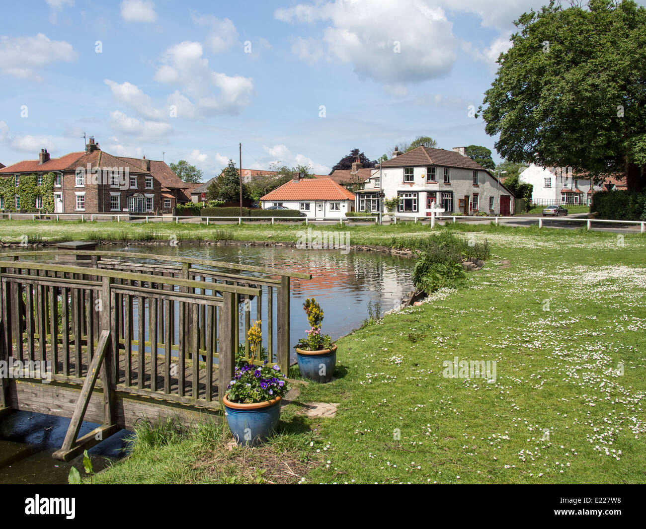 Jonge dame melk wit Modderig houses for sale burton fleming Symfonie In