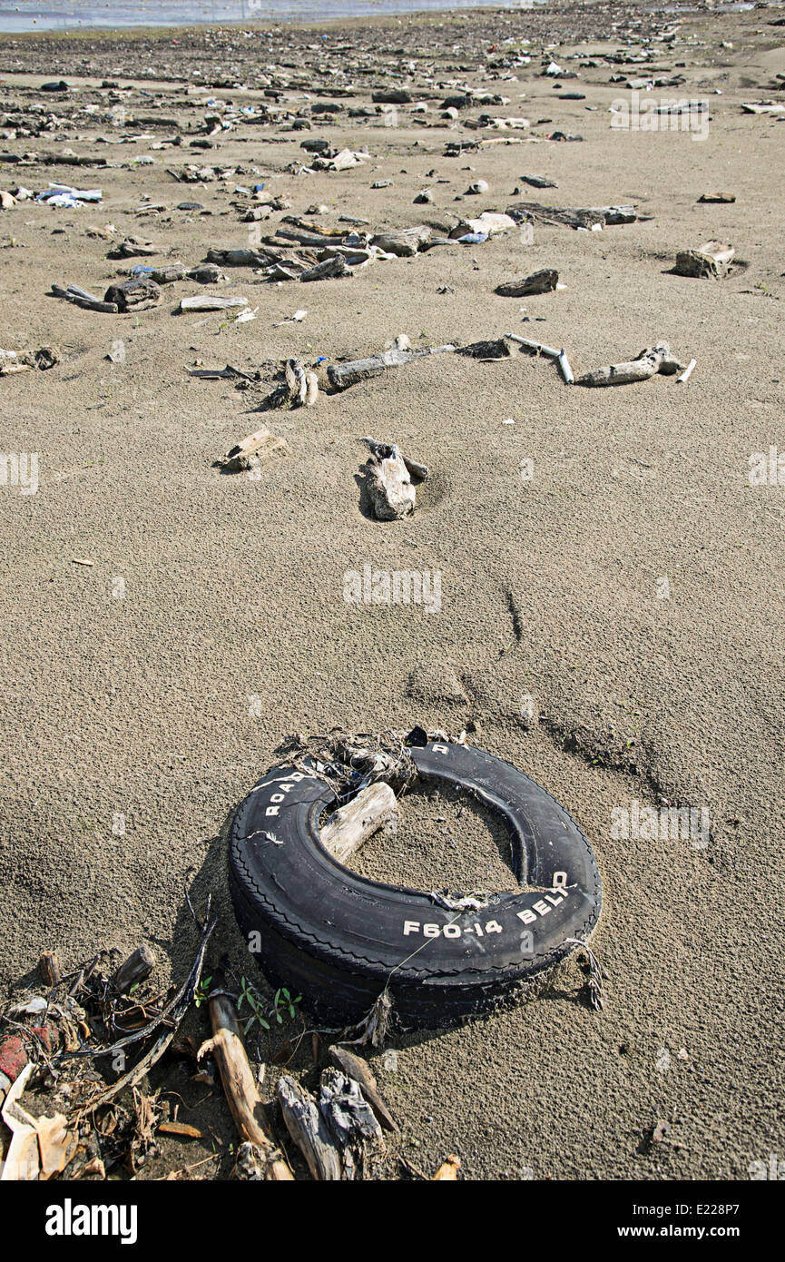Pollution Litter Trash On Beach Stock Photo