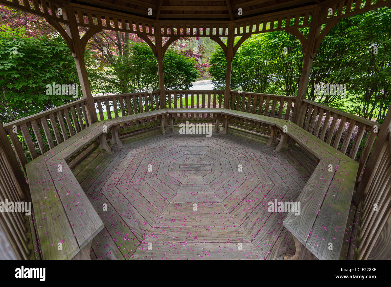 Inside gazebo hires stock photography and images Alamy
