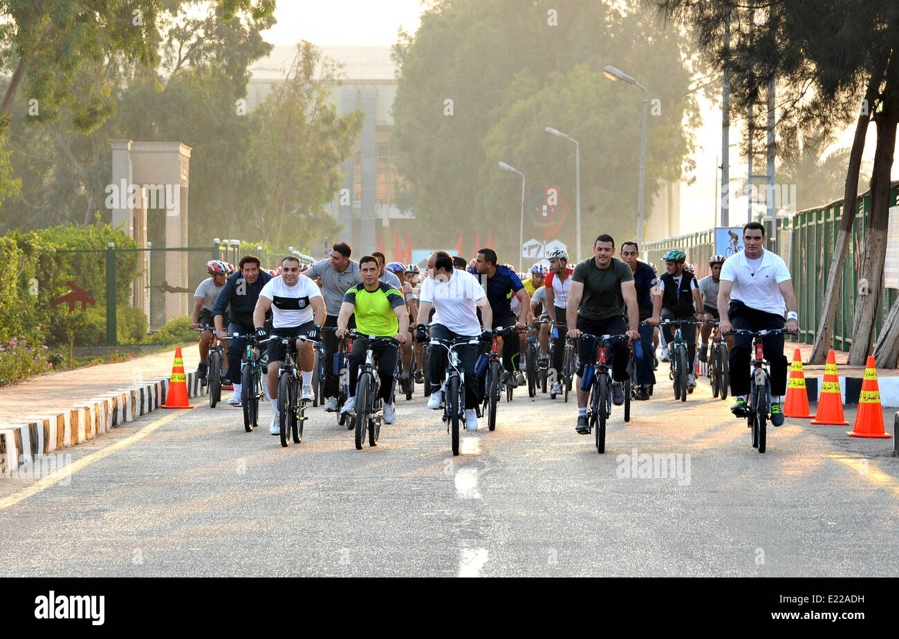 Cairo, Egypt. 13th June, 2014. A handout picture released by Egyptian Presidency shows Egypt's
