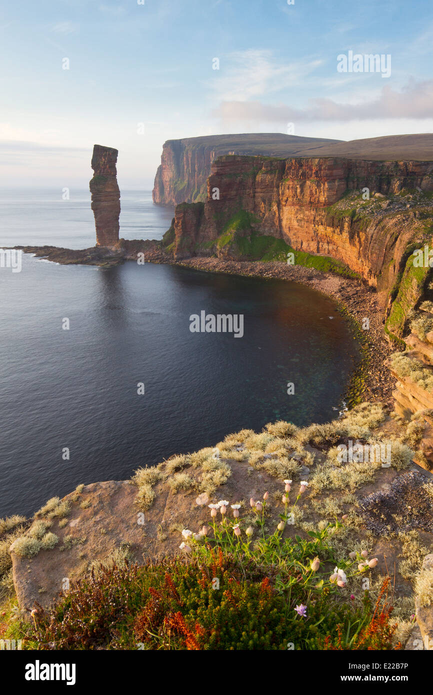 Old Man of Hoy, Orkney isles Stock Photo