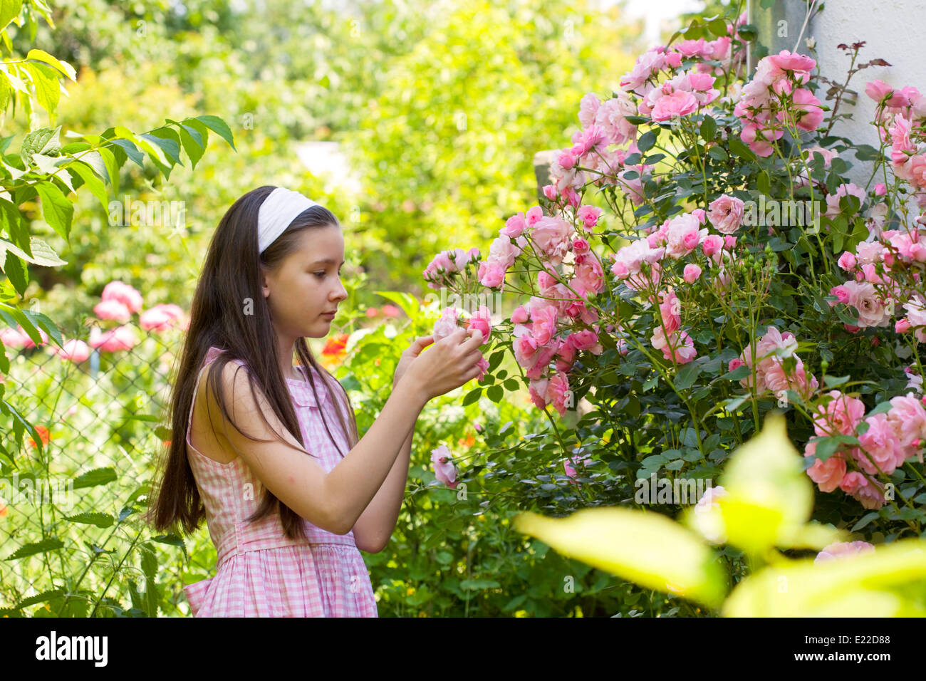 Teenage girl in the country garden with blooming rose bush Stock Photo ...