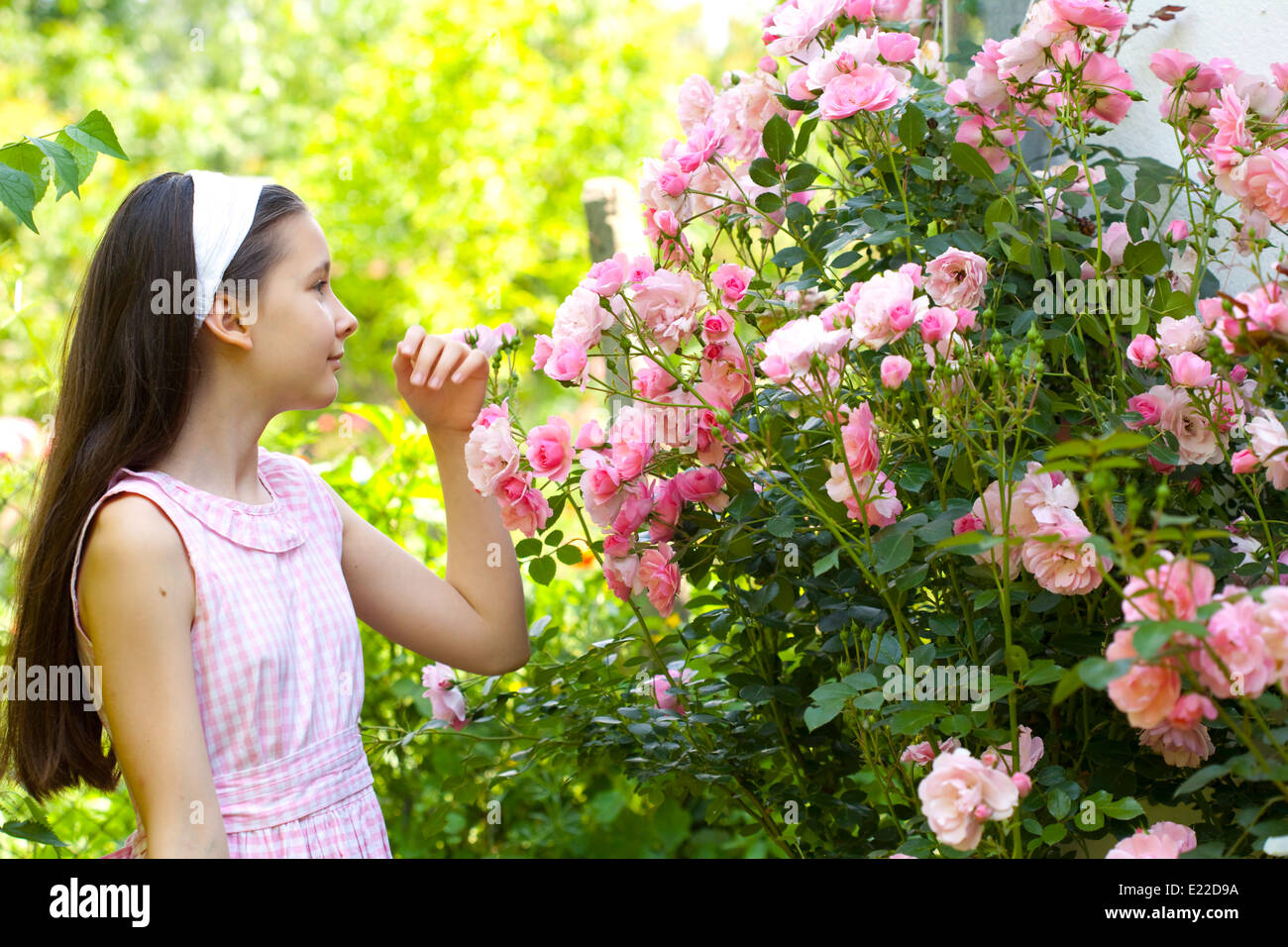 Teenage girl in the country garden with blooming rose bush Stock Photo ...