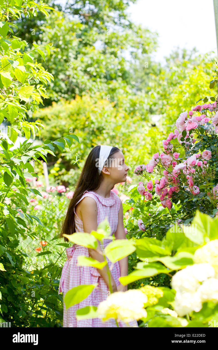 Teenage girl in the country garden with blooming rose bush Stock Photo ...