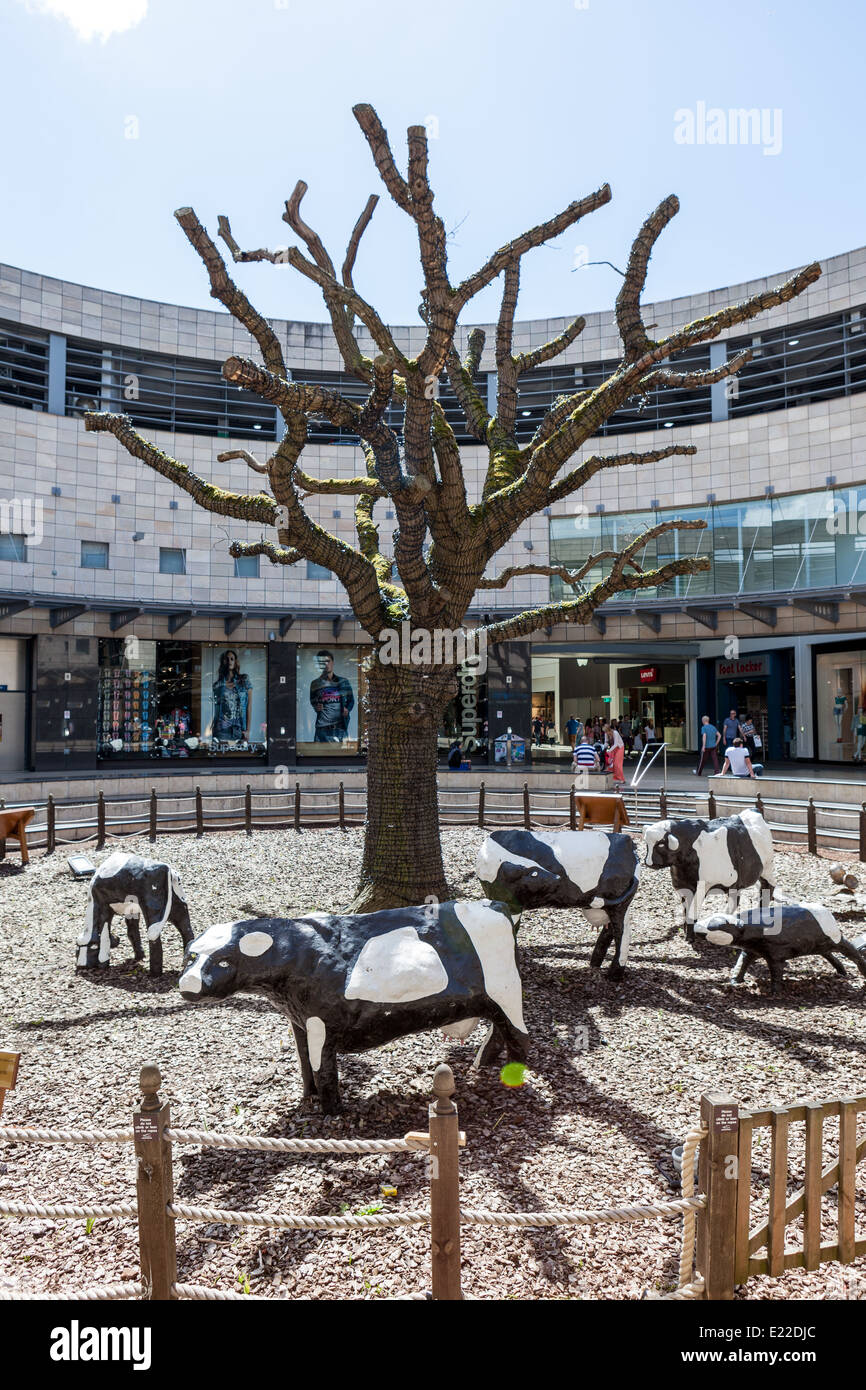 Milton Keynes' Concrete Cows have become infamous since being sculpted by Canadian-born artist Liz Leyh in 1978. Stock Photo