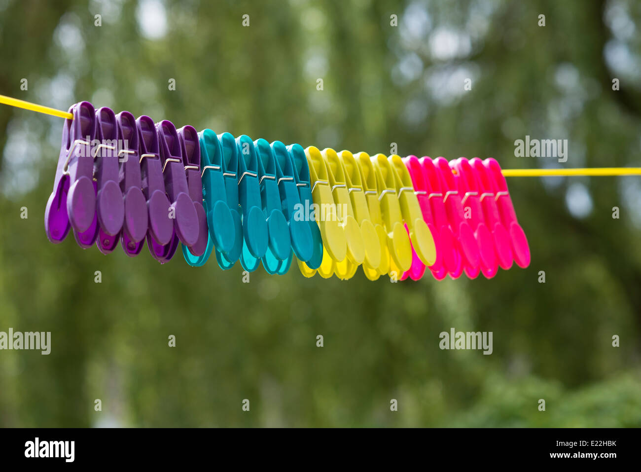 Multi coloured plastic pegs hanging on a washing line Stock Photo