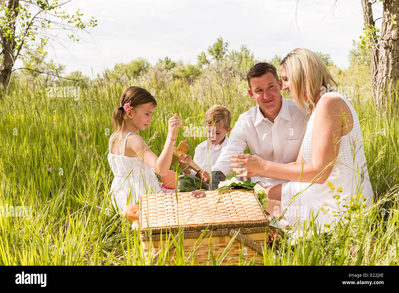 Family on summer picninc in the countryside Stock Photo - Alamy