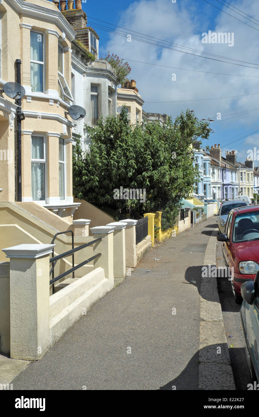Derelict house with tree covering entire front of terrace house in Hastings UK Stock Photo