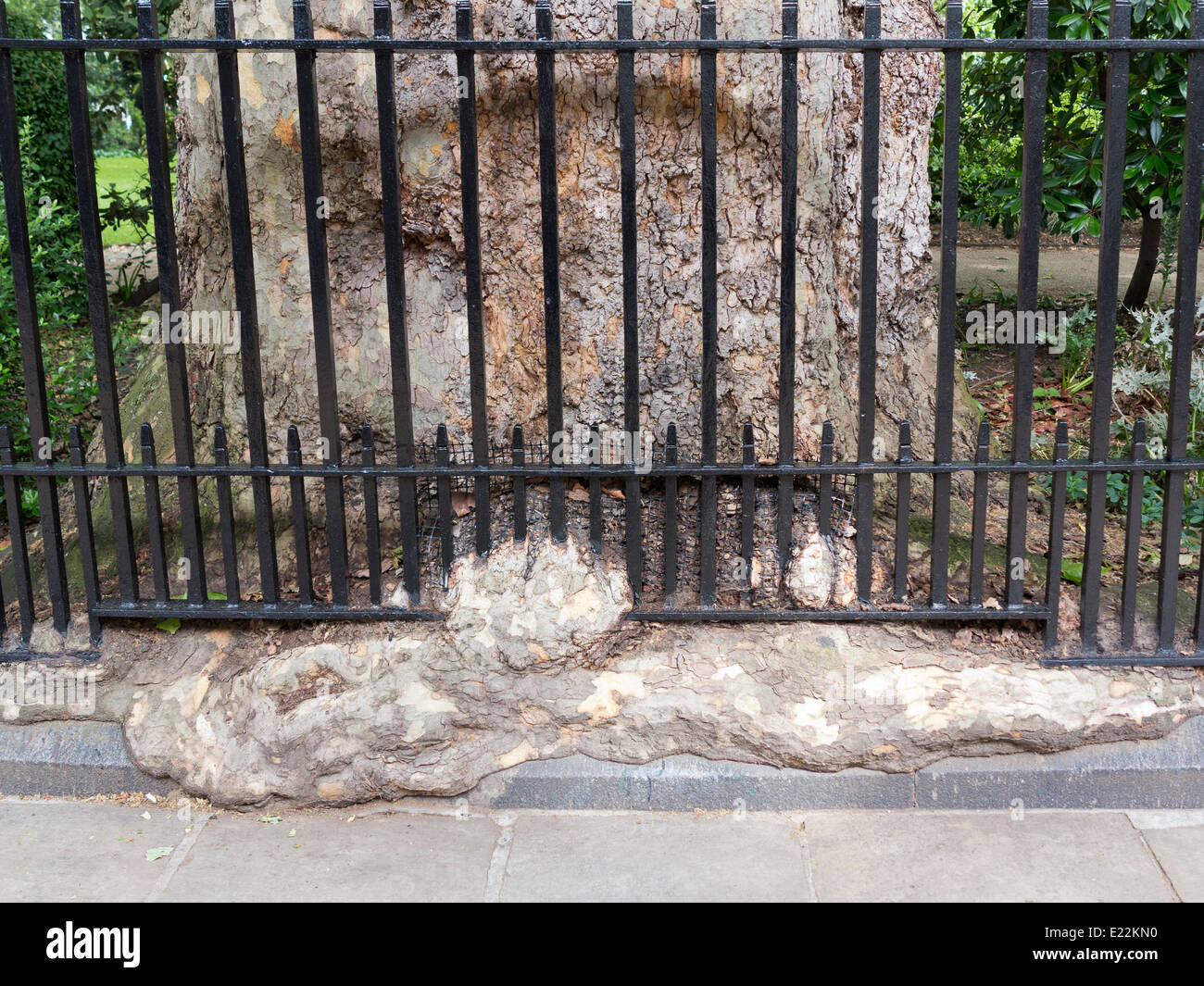 Shroud mantle enshroud obnubilate bark metal barrier prevail hi-res ...