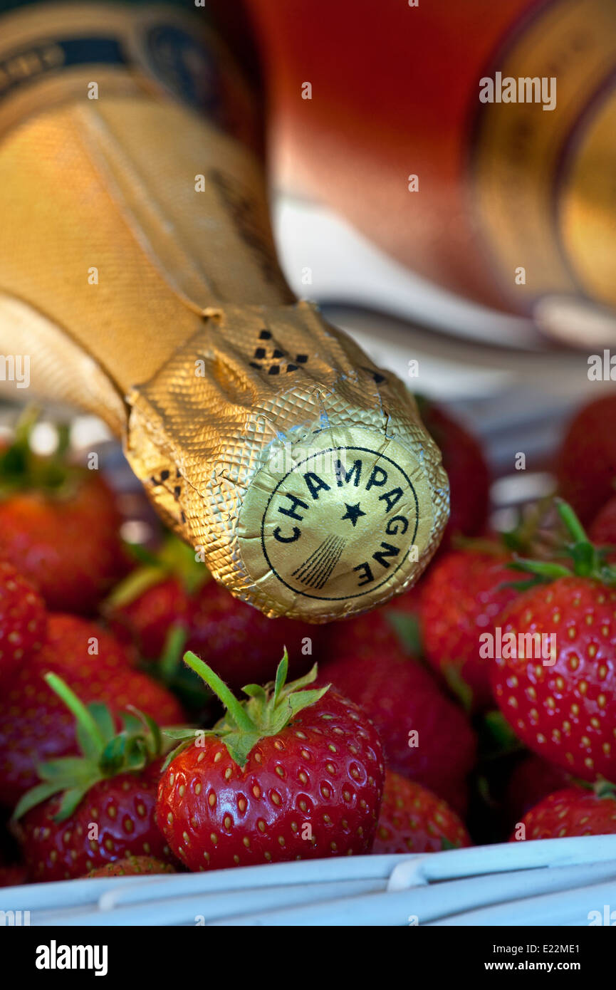 Champagne bottles in wine chiller with white wicker punnets of fresh strawberries for luxury alfresco event Stock Photo