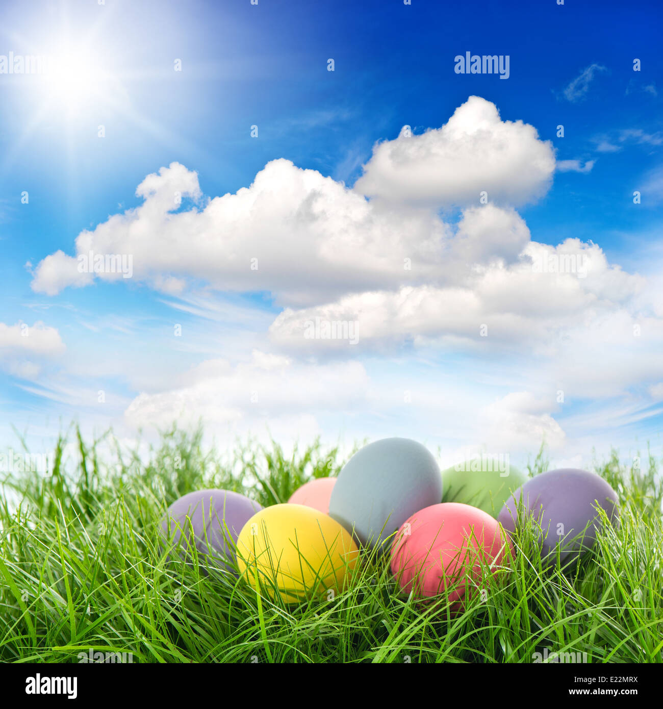 easter eggs in green grass. beautiful sunny blue sky Stock Photo - Alamy