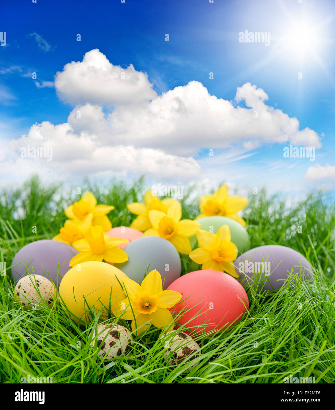 easter eggs and daffodils flowers in grass over sunny blue sky Stock Photo