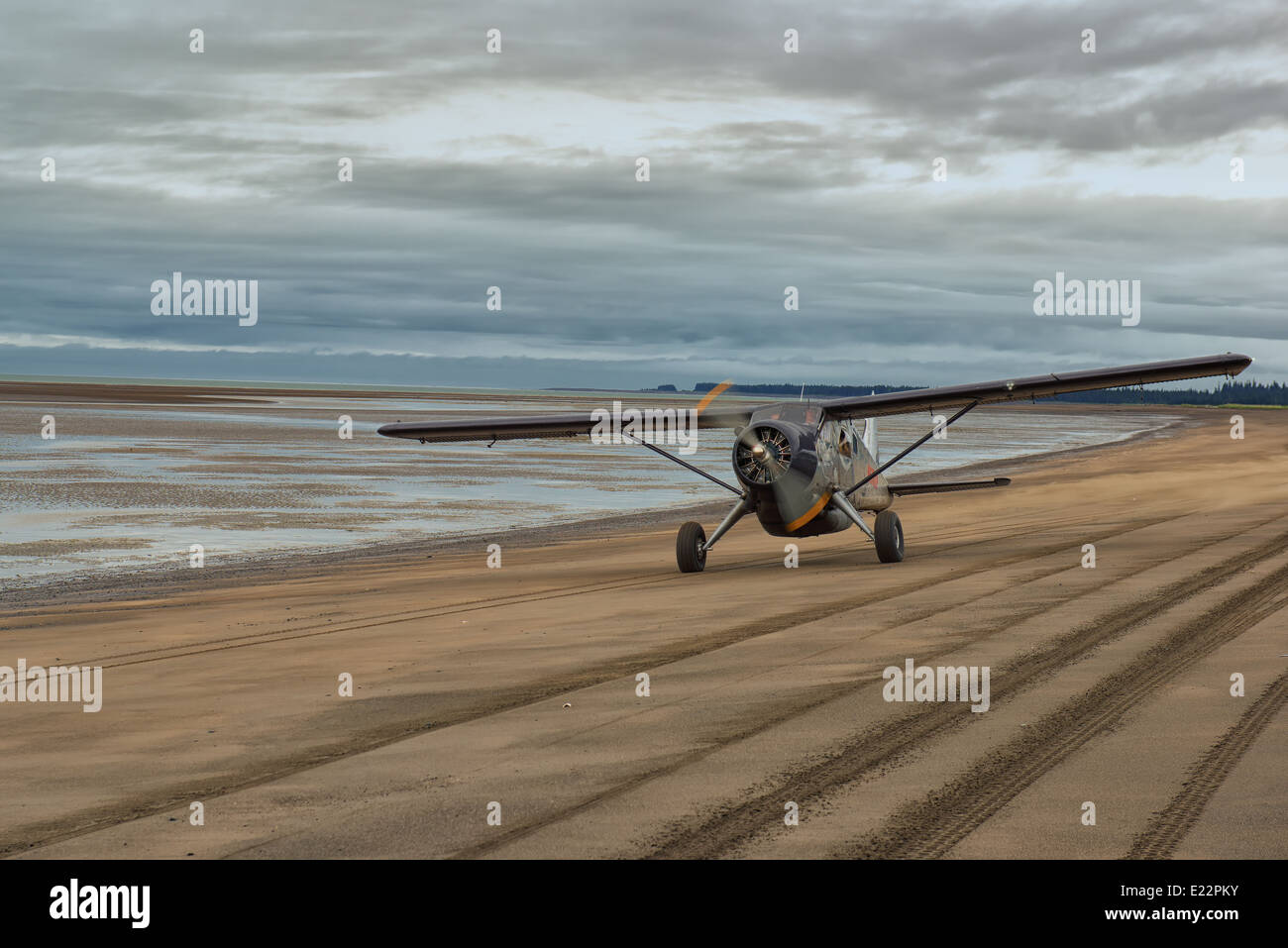 A Bush Plane lands on the beach in Lake Clark National Park Stock Photo