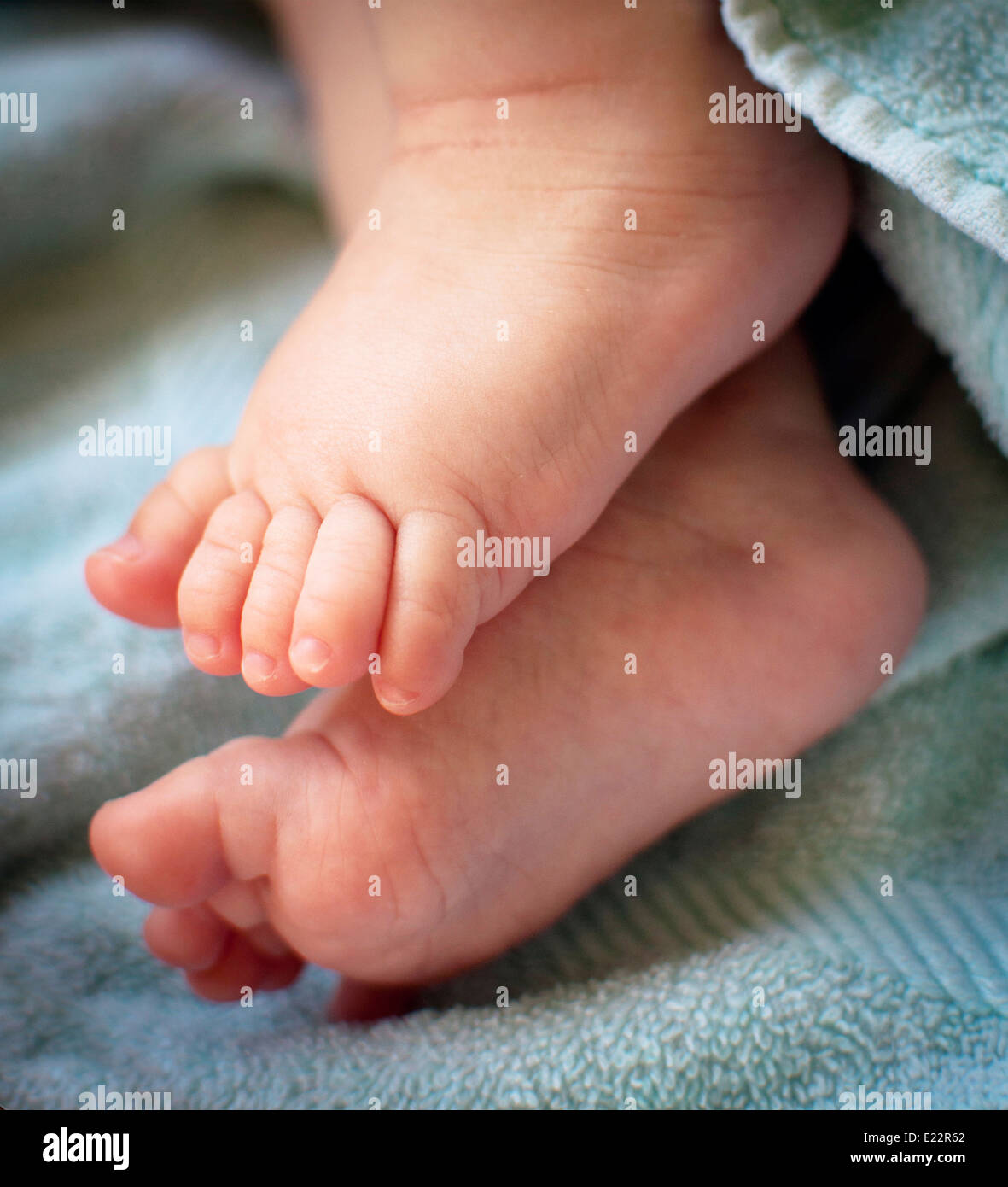Close up of baby feet with blue background Stock Photo