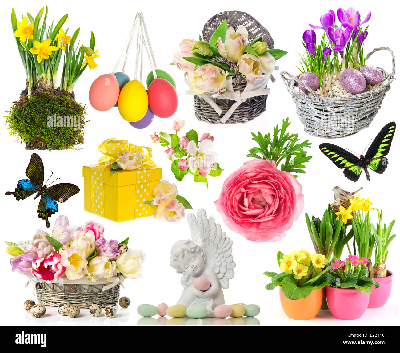 set of spring flowers, easter eggs, butterfly. easter decorations