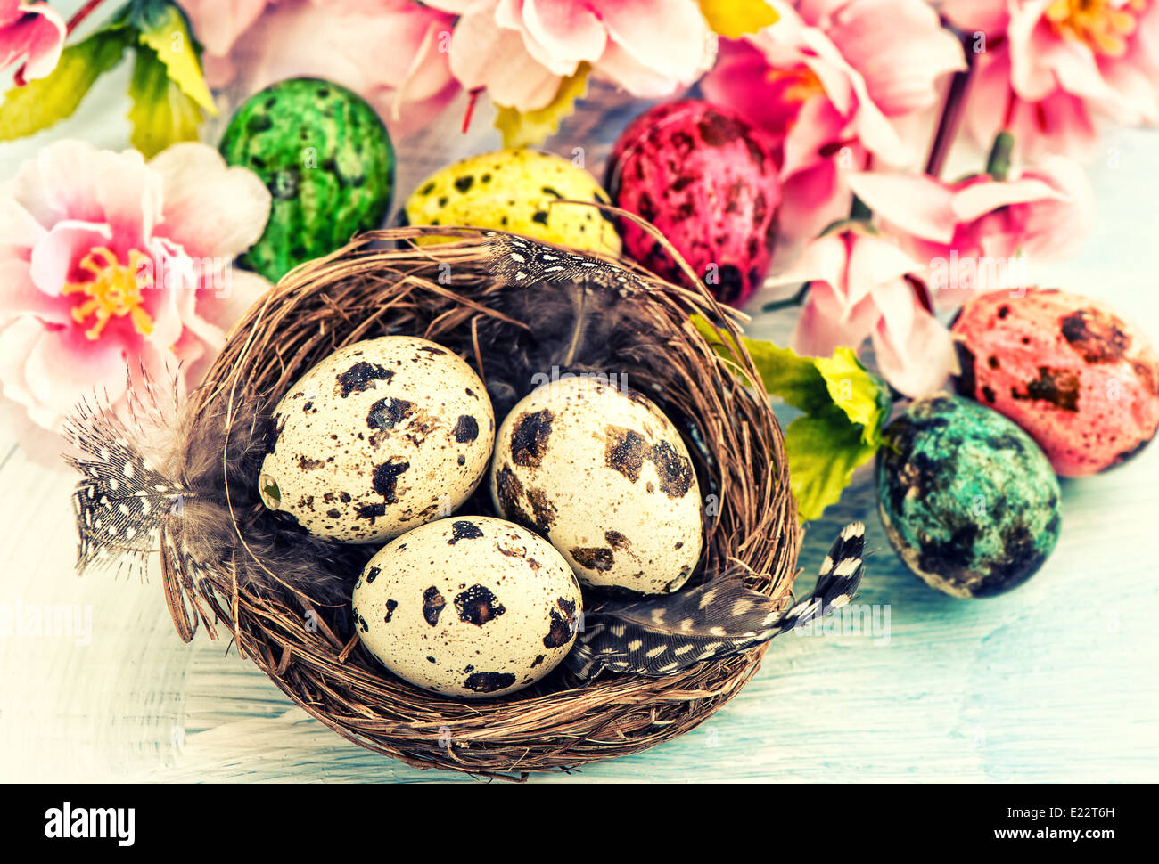 Easter decoration with flowers and eggs in nest Stock Photo - Alamy