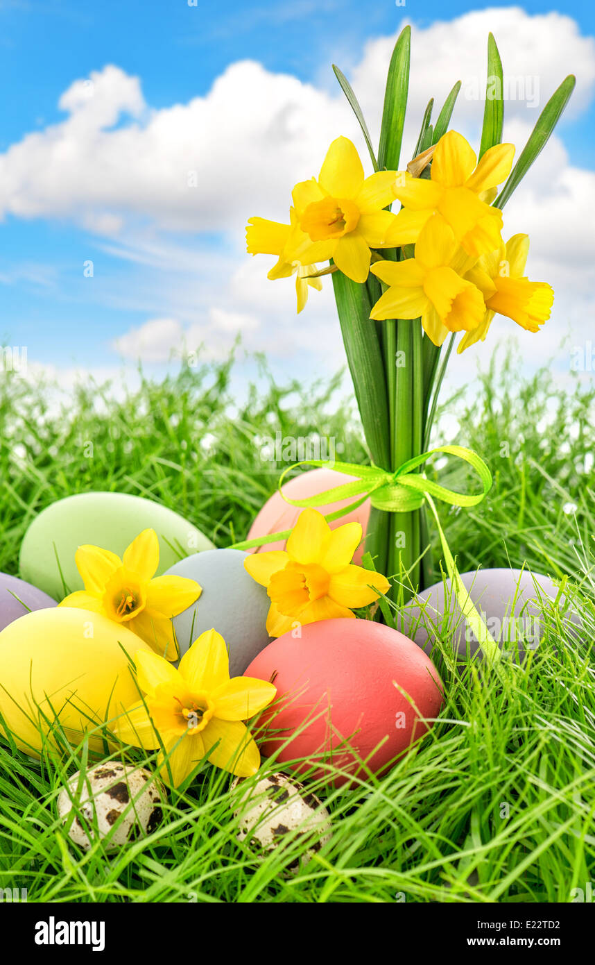 easter eggs and daffodils flowers in green grass over cloudy blue sky Stock Photo