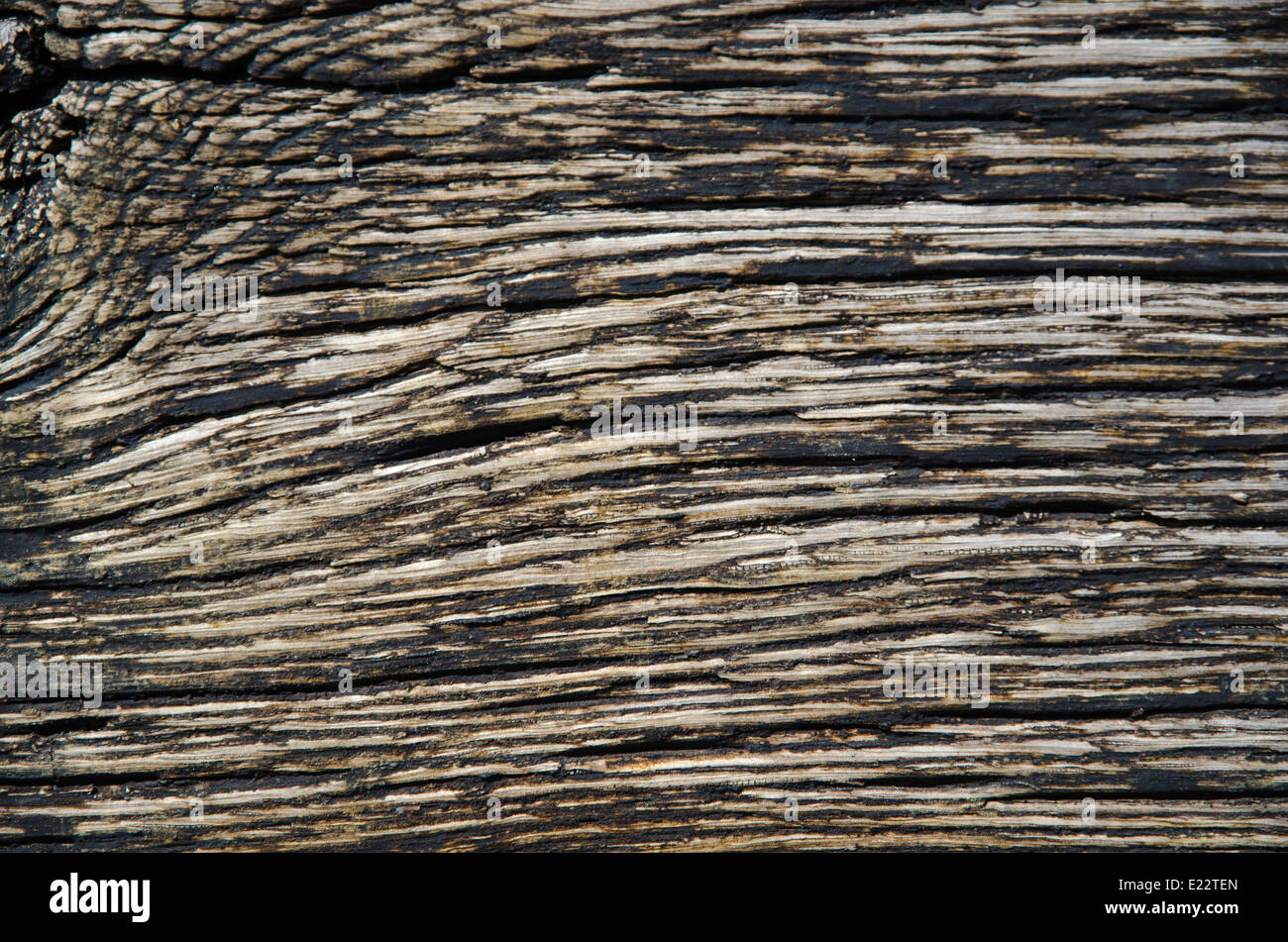 Weathered tarred wooden background with a rustic texture Stock Photo