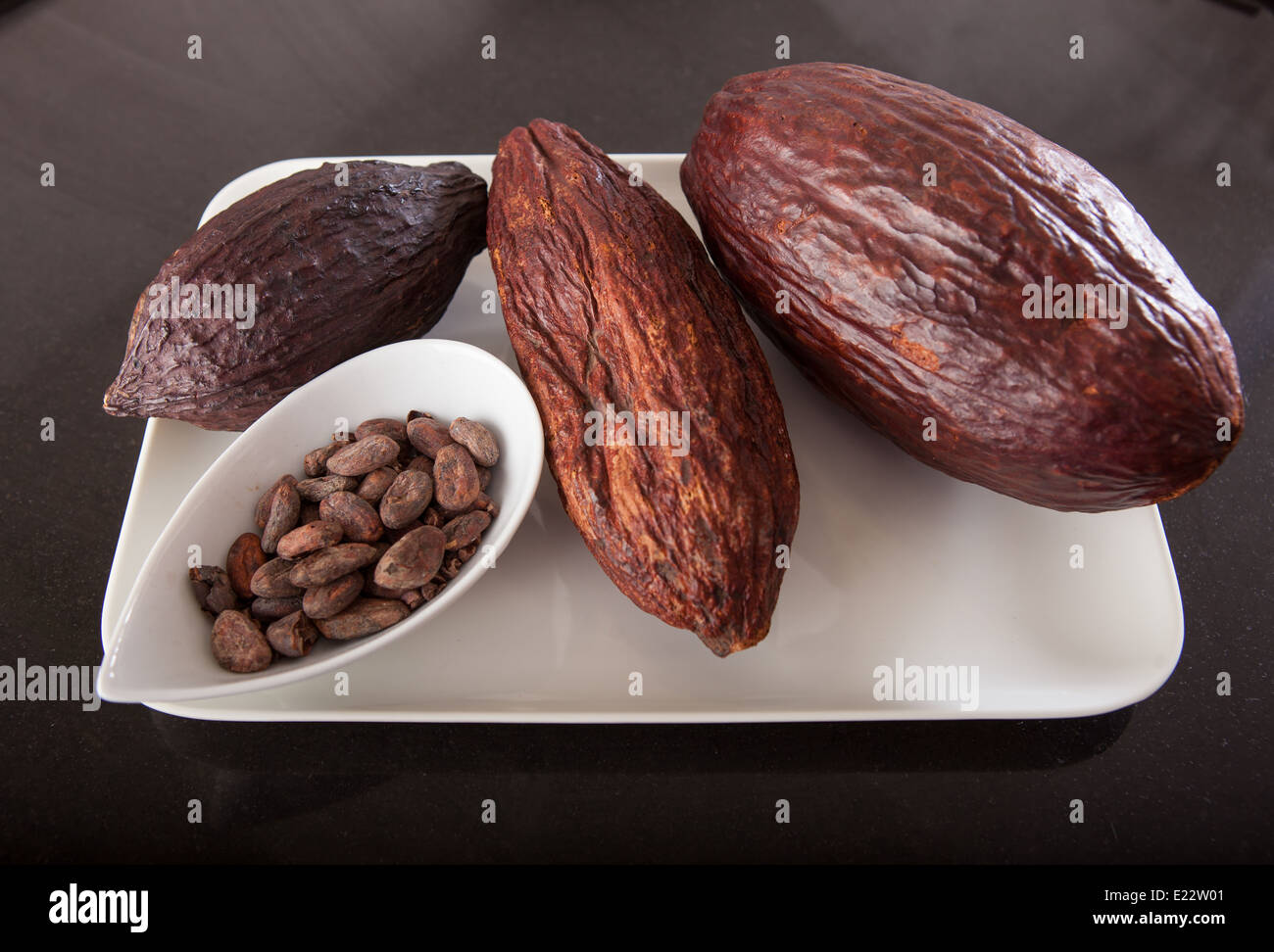 Cocoa beans in a bowl next to cocoa pods from which they originate. Stock Photo