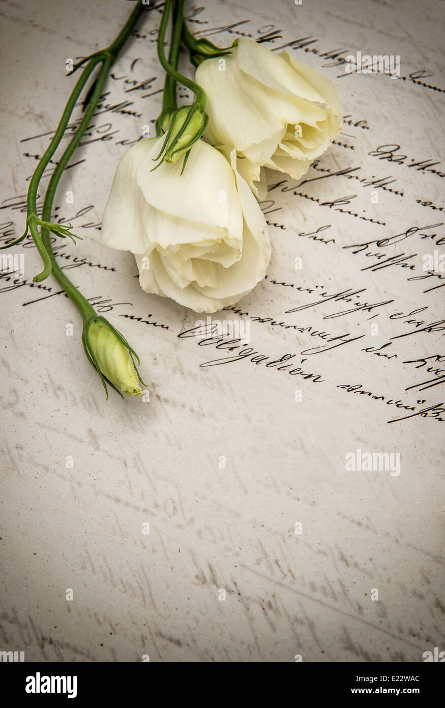 old handwritten love letter and white flowers. retro style toned picture Stock Photo
