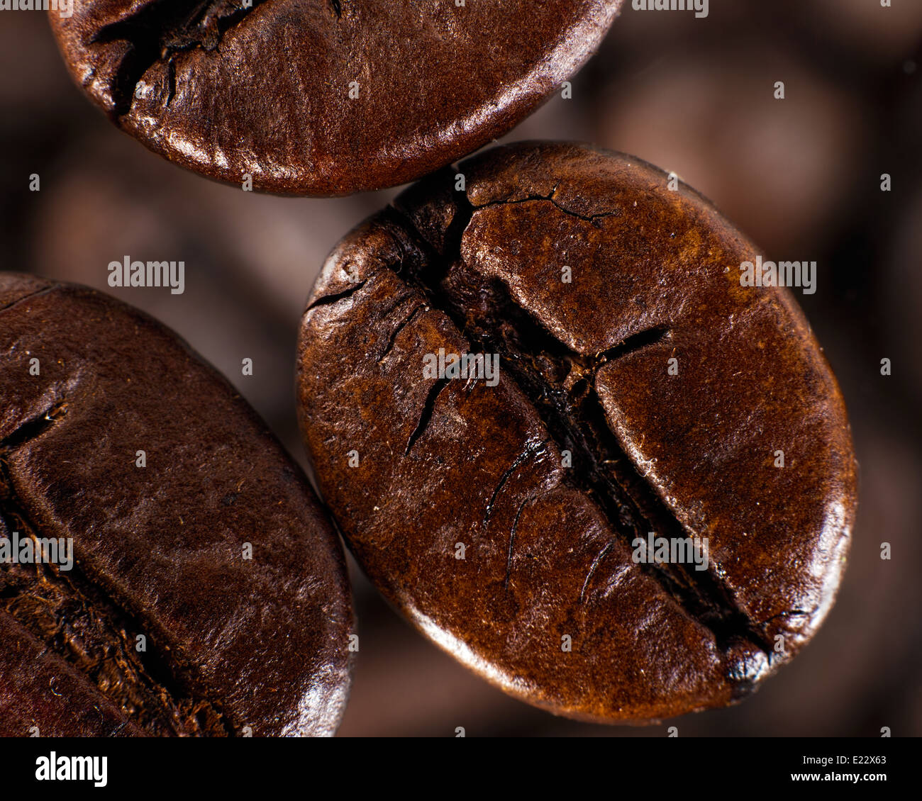 Cofee beans against blurred abstracr backgrounds Stock Photo