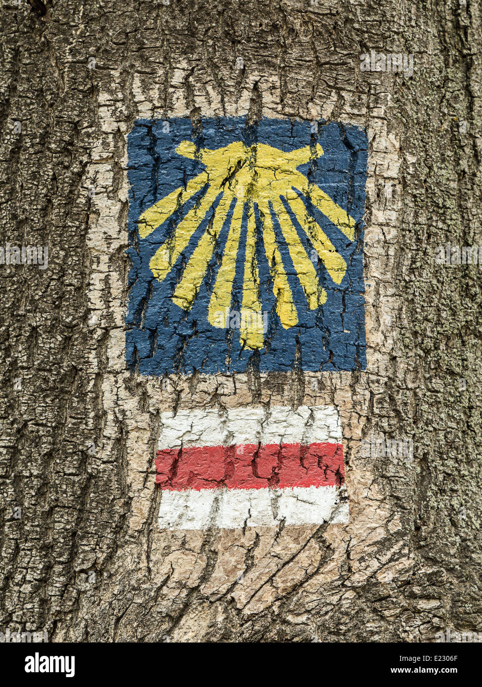 Sign of Saint James route painted on tree bark Stock Photo