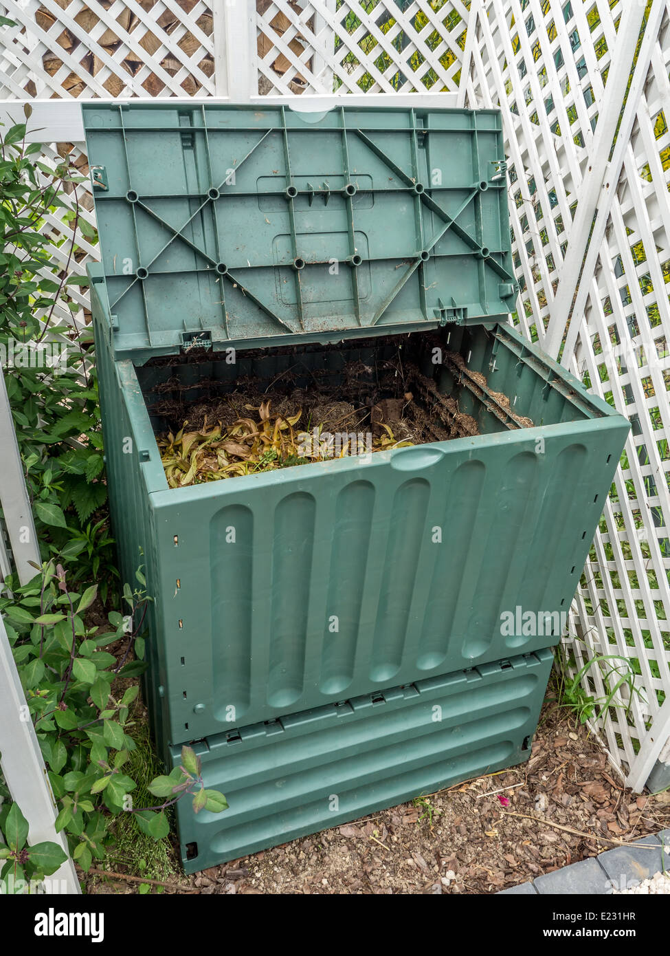 Green plastic compost bin full of organic and domestic food scraps Stock Photo