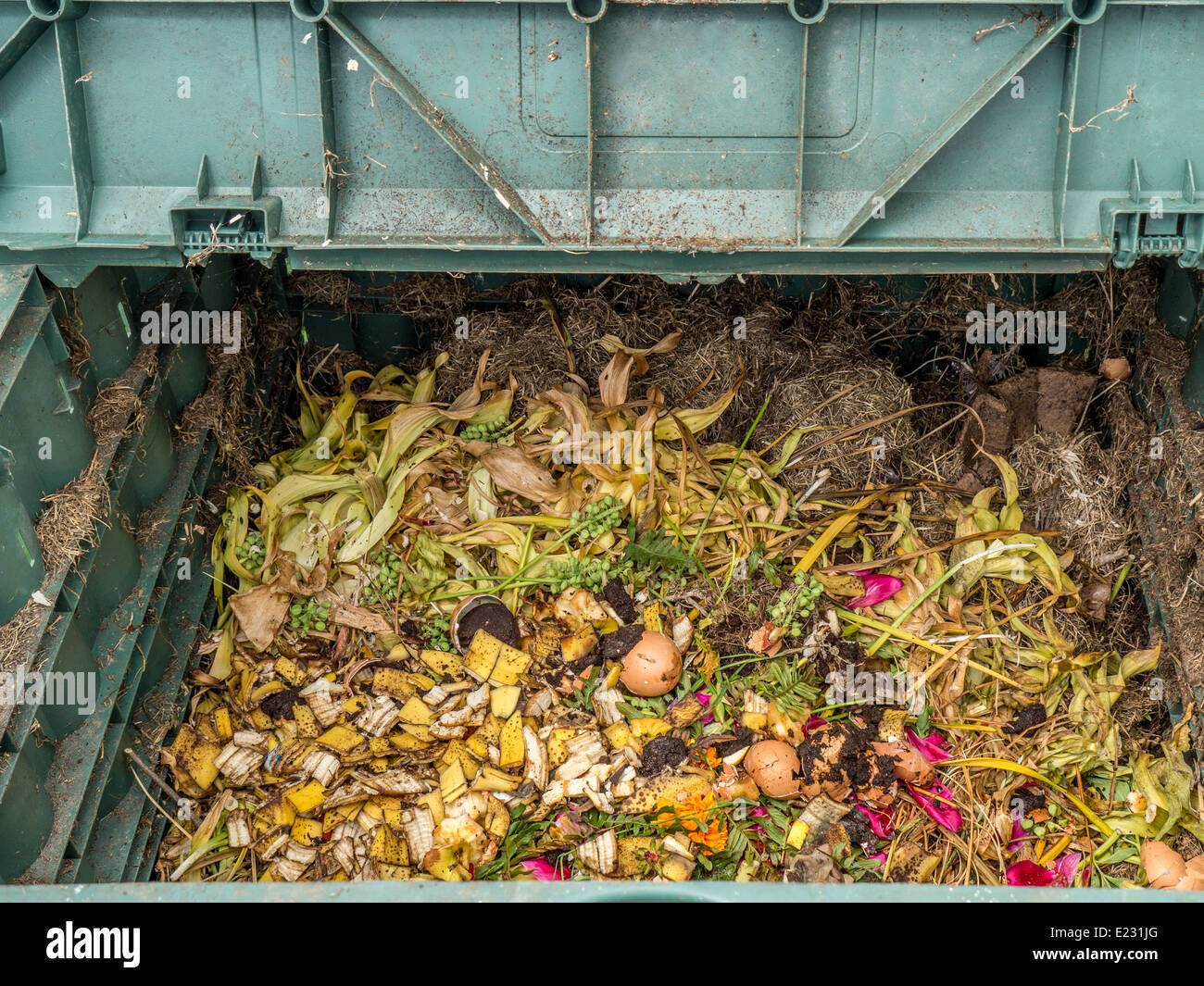Green plastic compost bin full of organic and domestic food scraps Stock Photo