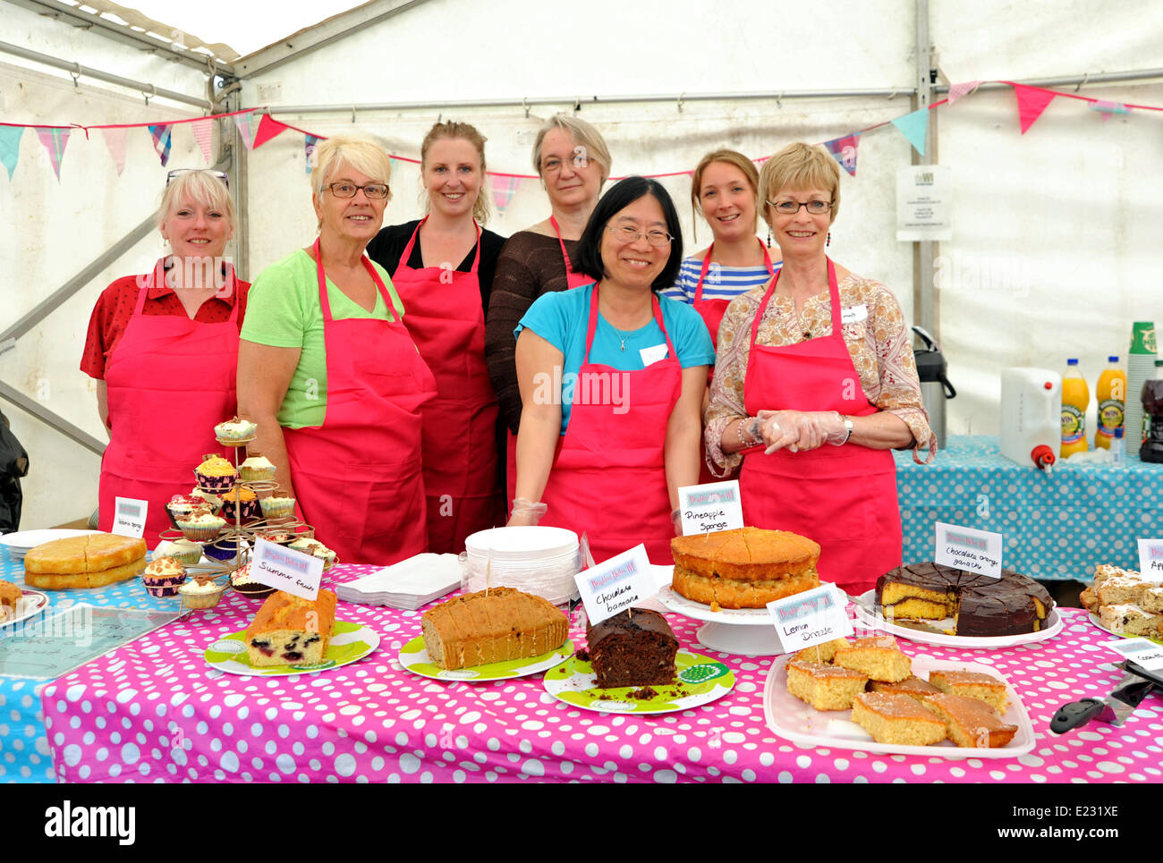 Brighton, Sussex, UK. 14th June 2014. Members of Brighton Belles WI , Hanover Queens WI and the Witches of Bevendean WI joined forces to provide a cake stall at the Loving Our Level Celebration Day in Brighton The Level is a local city centre public park which has had over £2million pounds spent on its rejuvination  Organised with The Level Communities Forum,the event consisted of free entertainment for all, including live bands and music performances, sports and games, children's activities, arts and crafts, community stalls, great food and drink Photograph taken by Simon Dack/Alamy Live News Stock Photo