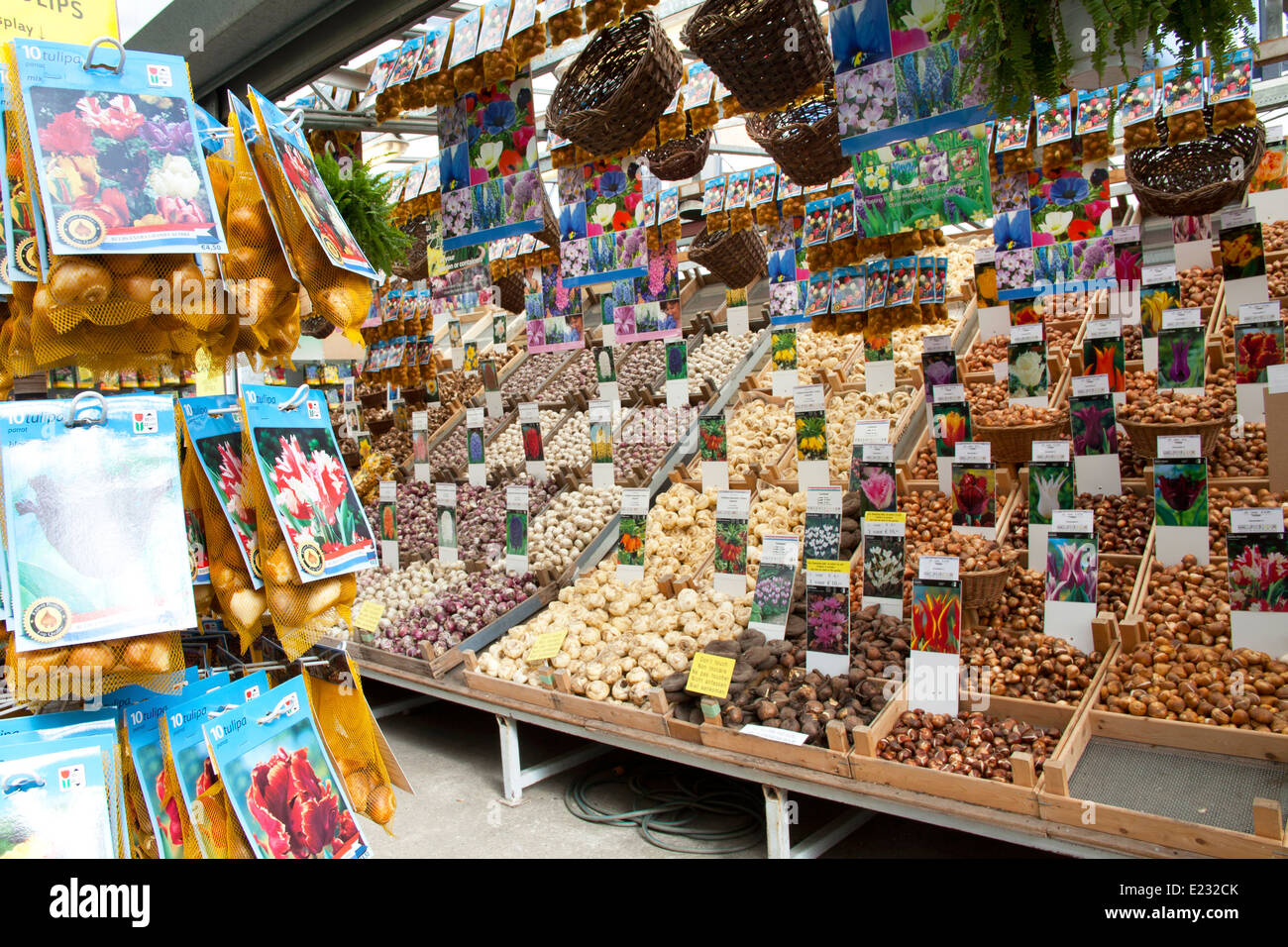Bins of tulip bulbs for sale in Amsterdam's Floating Flower Market
