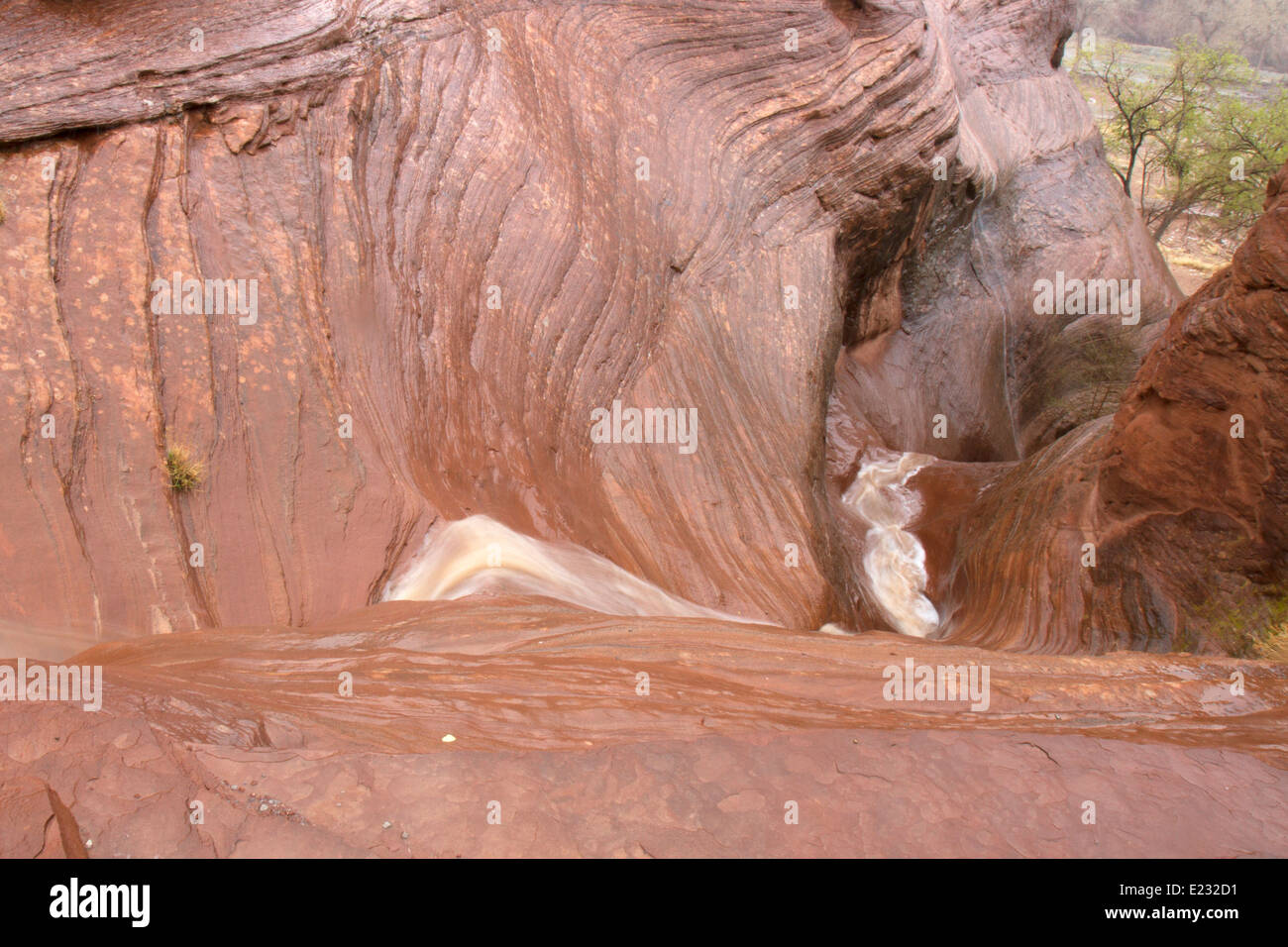 Water flowing from canyon wall sliprock during a rainstorm