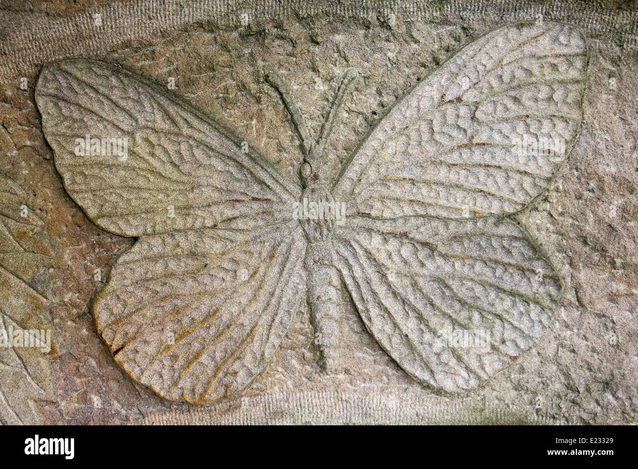 Stone Carved Butterfly Stock Photo Alamy