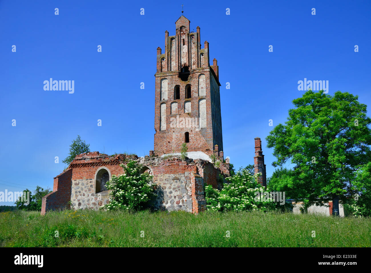 Forgotten ruins of a Gothic church Stock Photo