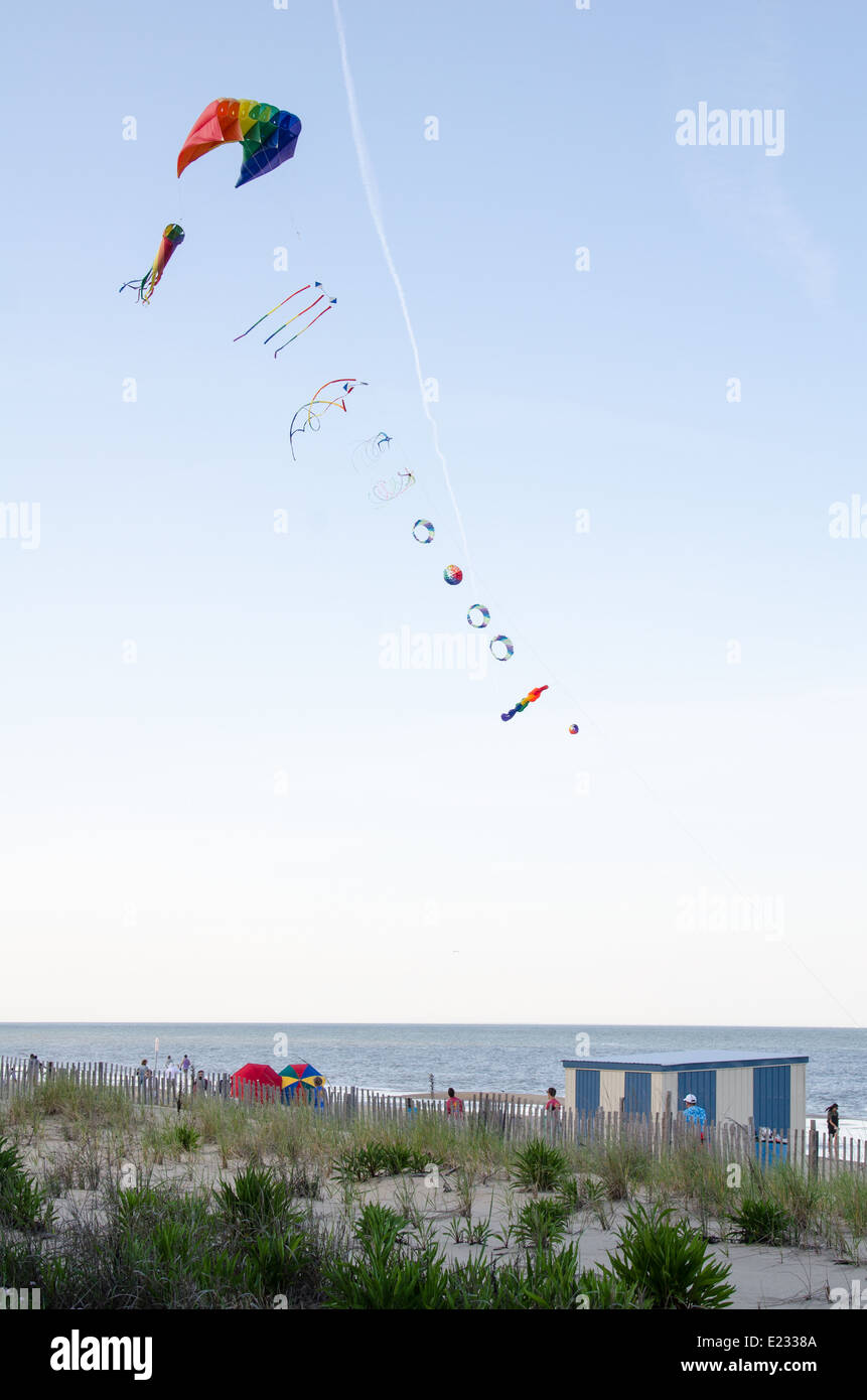Kite Flying along Rehoboth Beach in Delaware Stock Photo Alamy