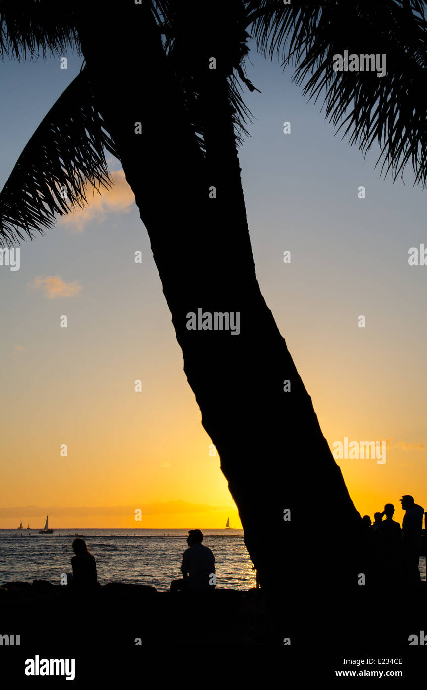 Sunset hawaii palm tree hi-res stock photography and images - Alamy