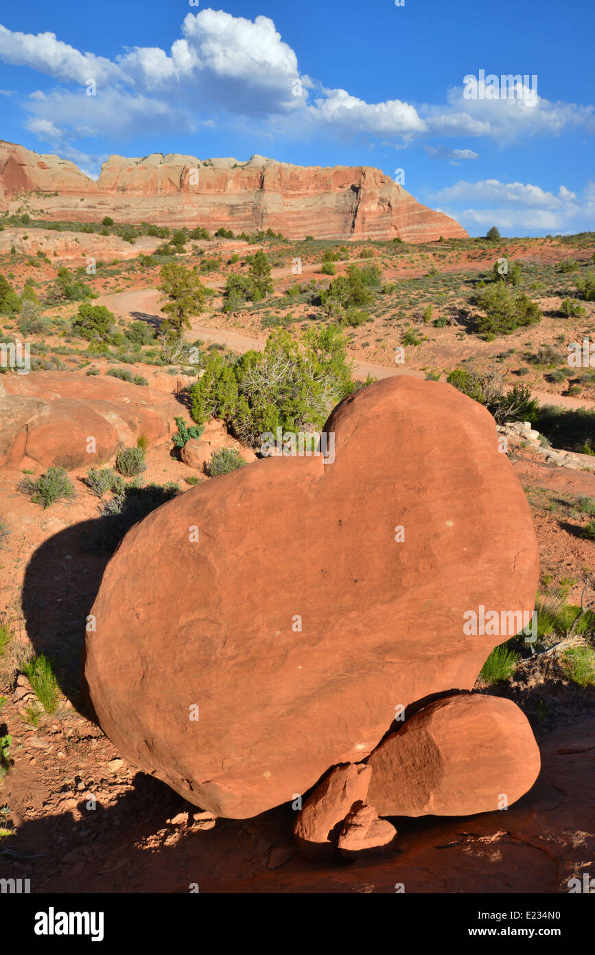 Red Rock Wilderness along back country road off Highway 128 and Dewey