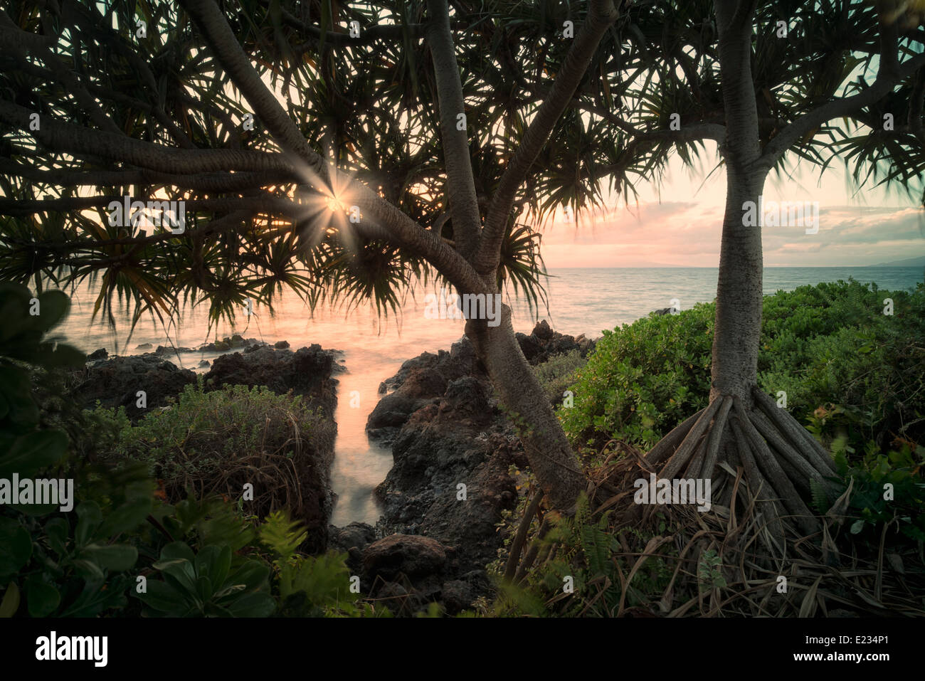 Rocky coastline with small inlet. Maui, Hawaii Stock Photo