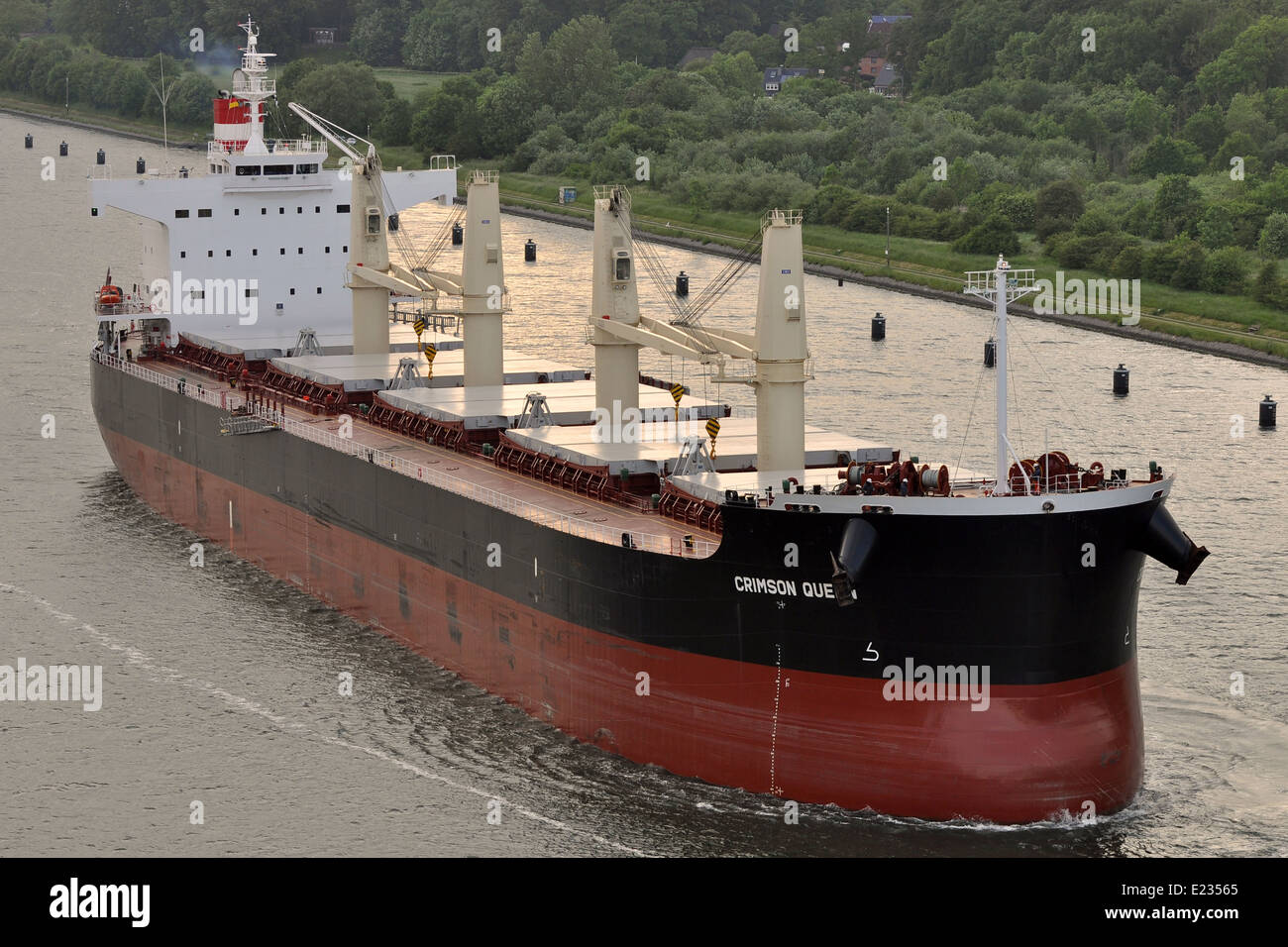 Crimson Queen Stock Photo