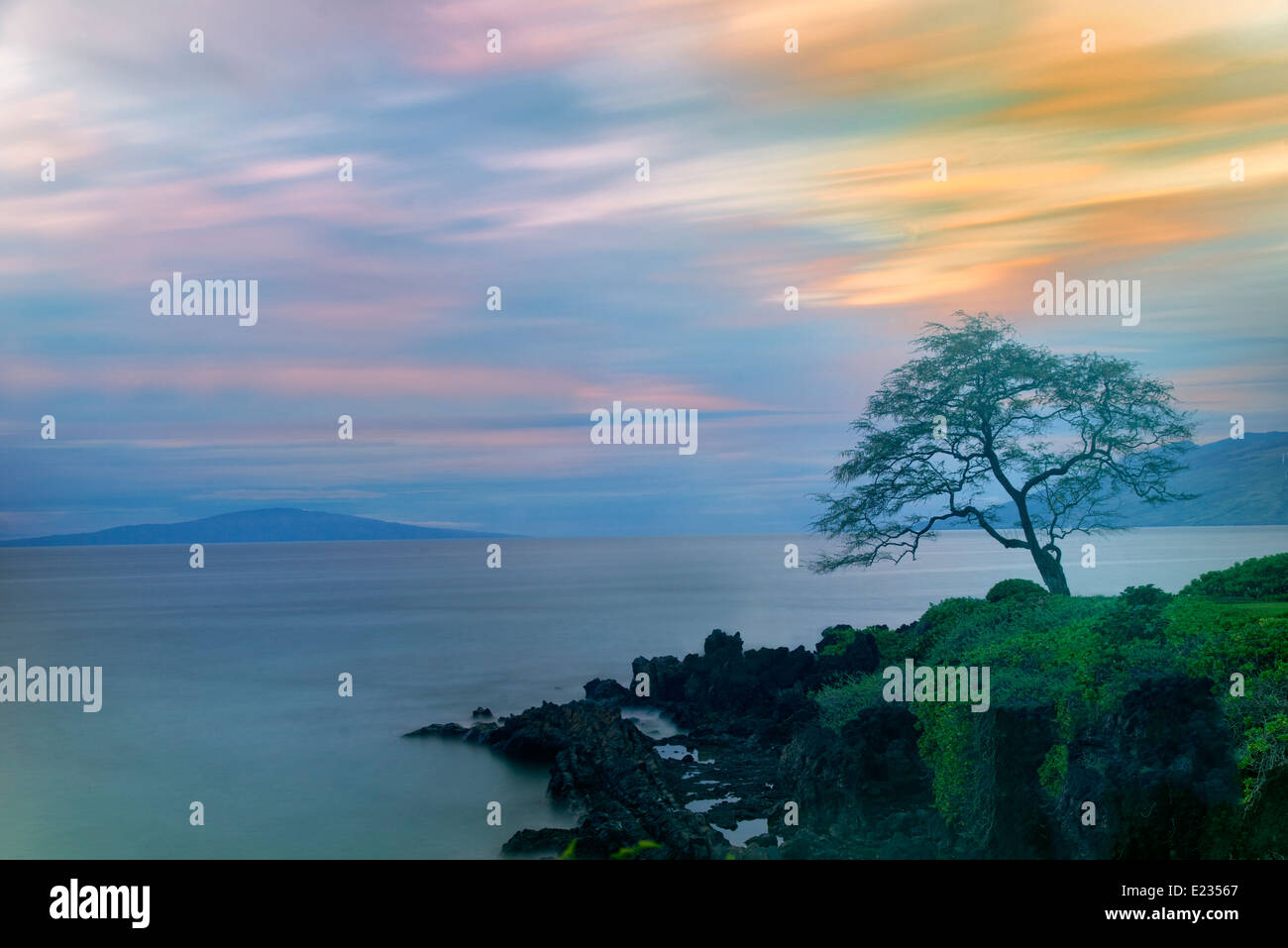 Lone tree and sunset. Maui, Hawaii Stock Photo