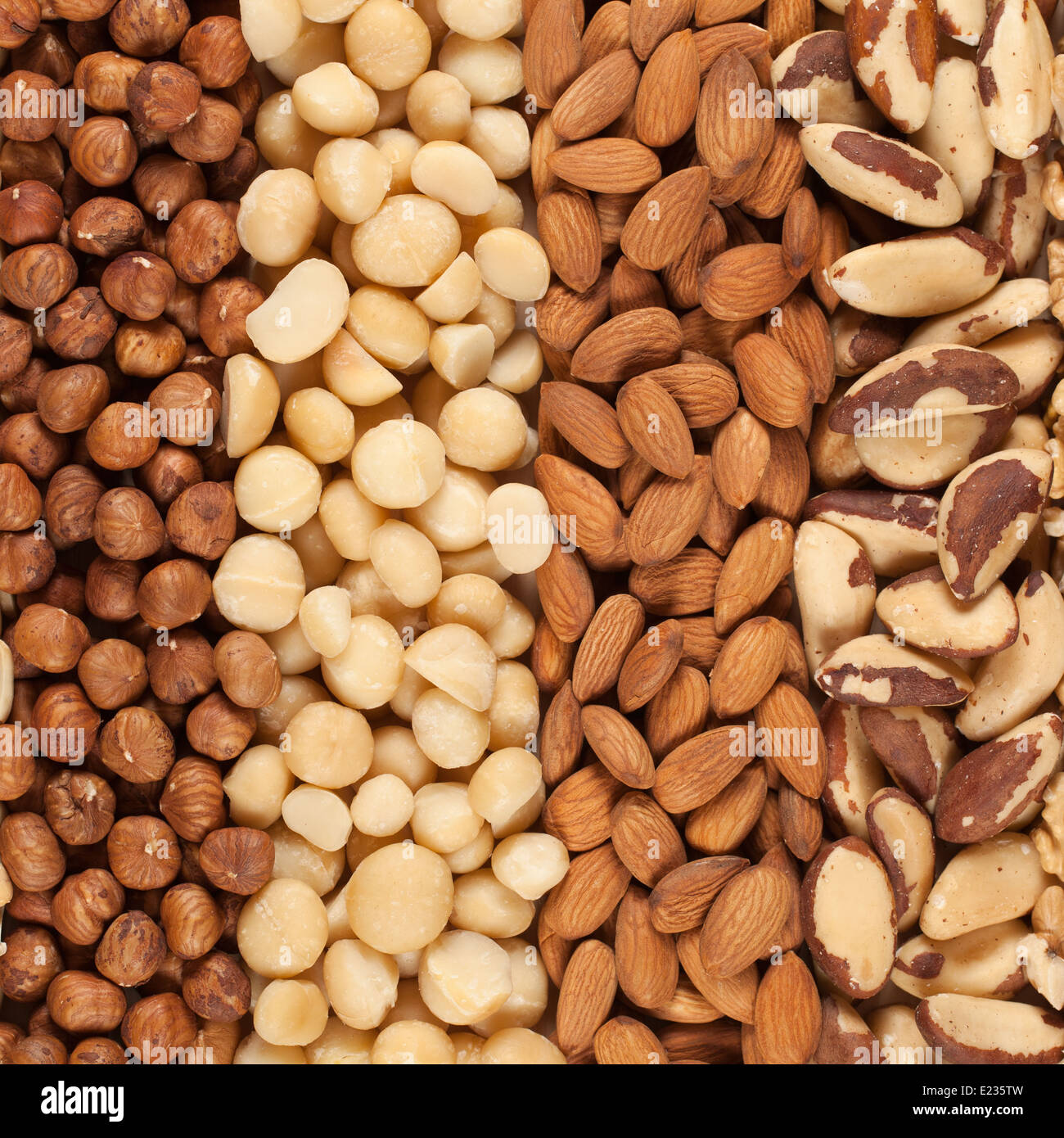 Collection of different nuts forming a background Stock Photo