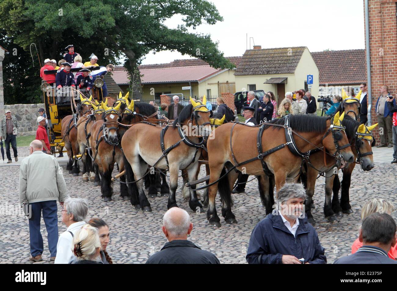 A historic stagecoach drawn by eleven horses arrives for the opening of the 20th Brandenurg Landpartie (open air event at an estate) at Gut Schmerwitz near Wiesenburg, Germany, 14 June 2014. The two day festival at the agricultural estate offers opportunities for visitors to learn about organic farming and animal welfare. Photo: Nestor Bachmann/dpa Stock Photo