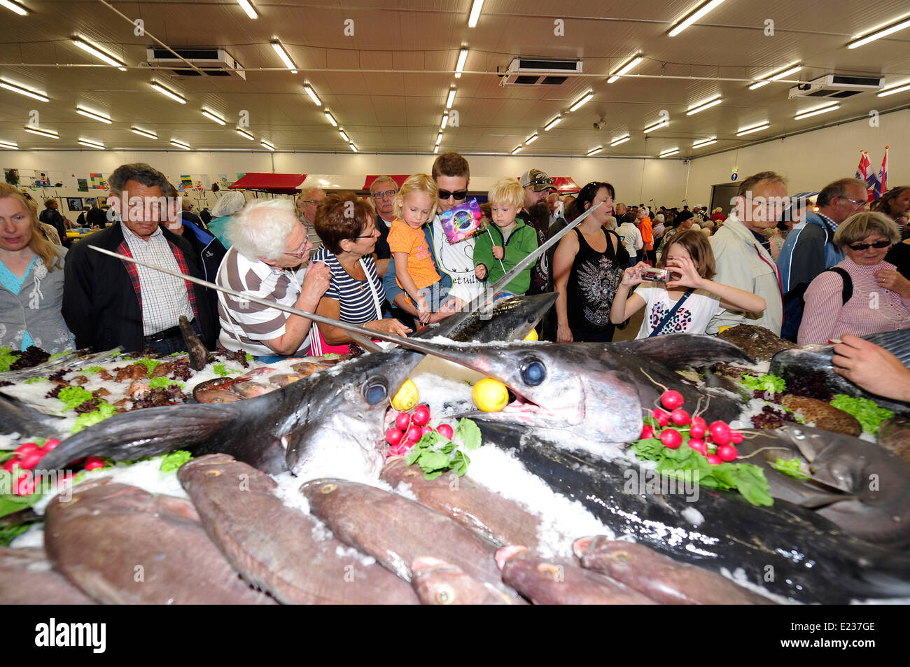 Den Haag, Netherlands. 14th June, 2014. People visit booth of fish