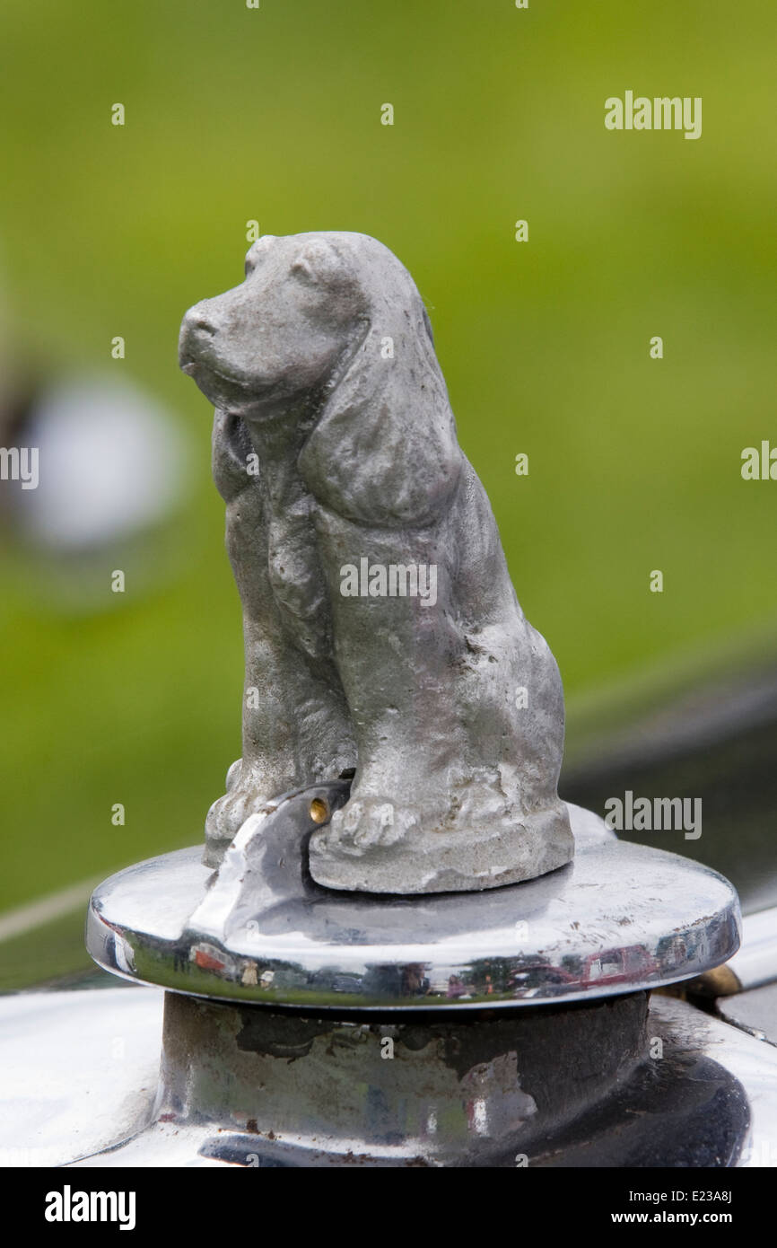 Car mascot hi-res stock photography and images - Alamy