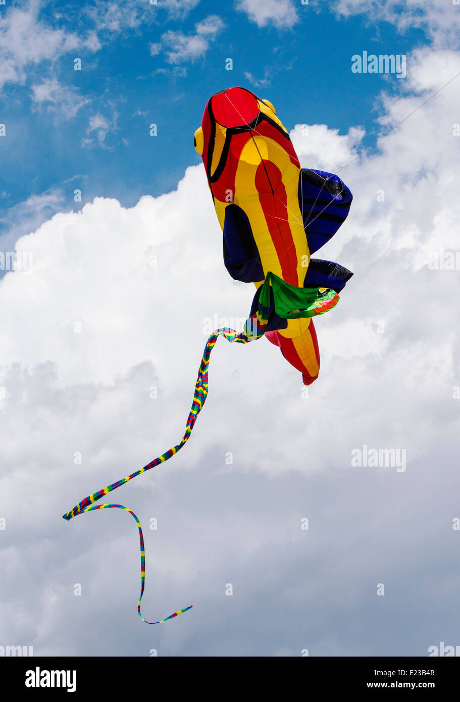 Fish and snake serpent shaped kites tangle & fall from the sky Stock Photo
