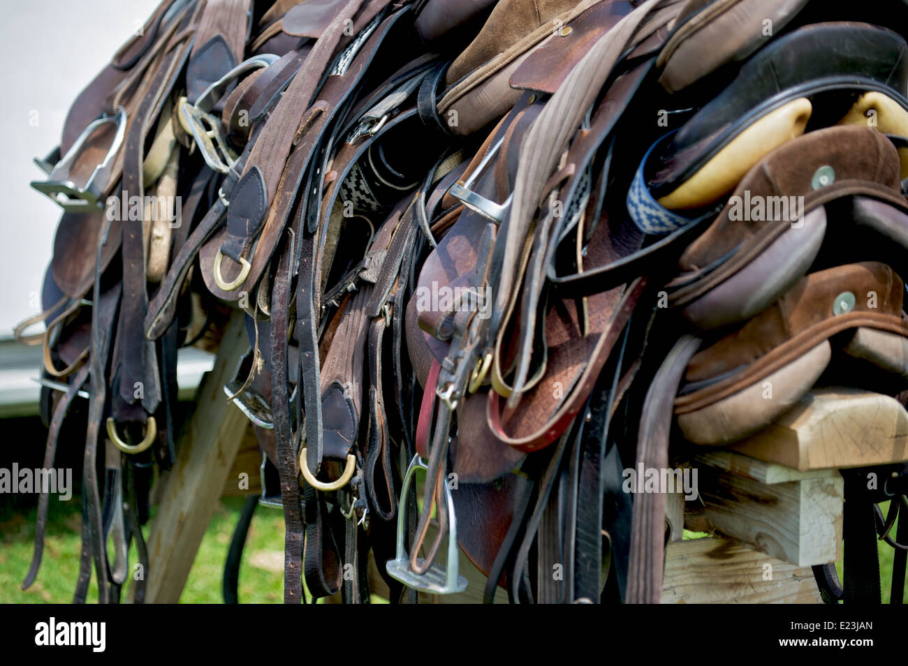 Polo horse saddle hires stock photography and images Alamy