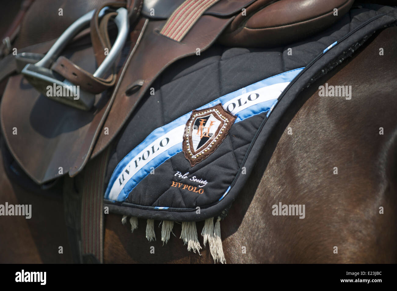 Polo horse saddle hires stock photography and images Alamy