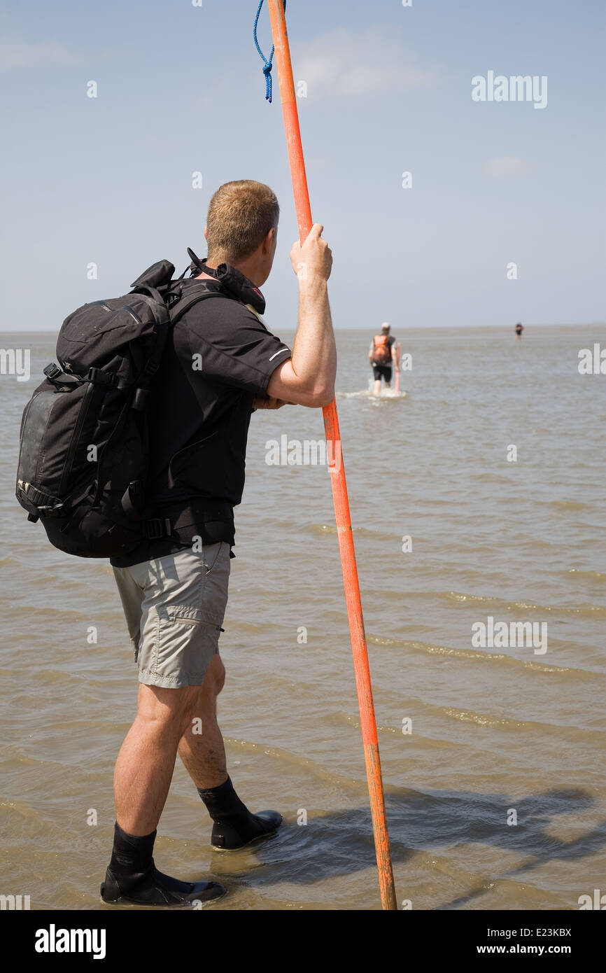 Guide checking the hight of water during wadlopen to Rottumeroog. Stock Photo