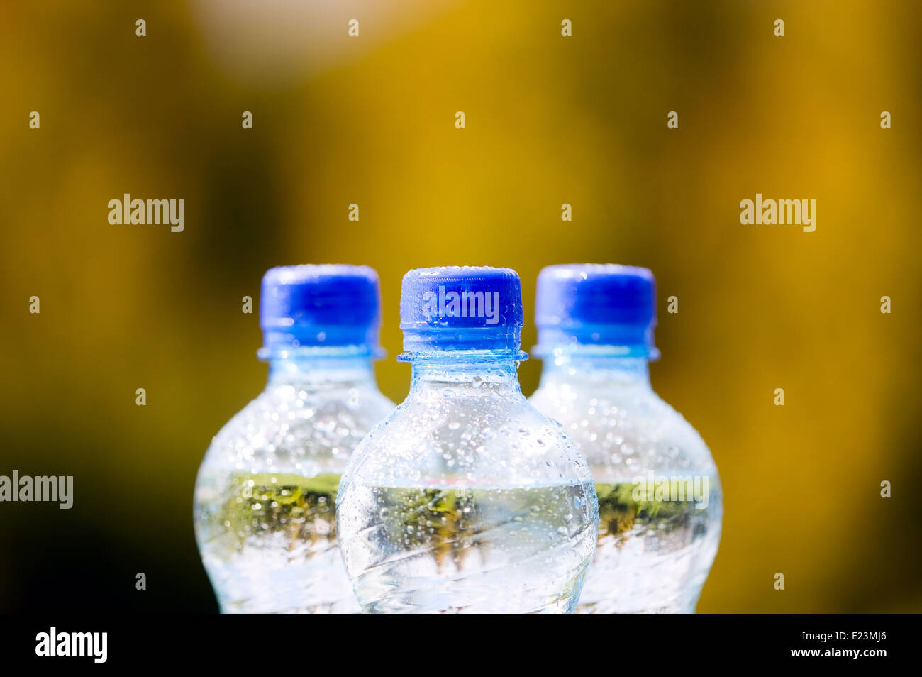 Mineral water bottles with blue plastic cork Stock Photo Alamy