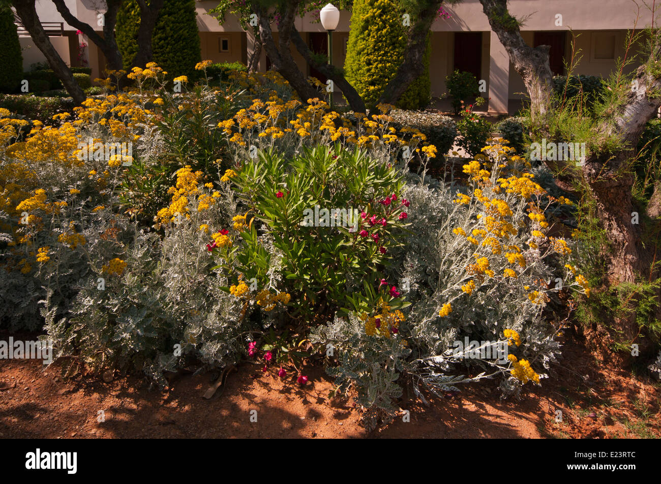 Mediterranean Garden Stock Photo